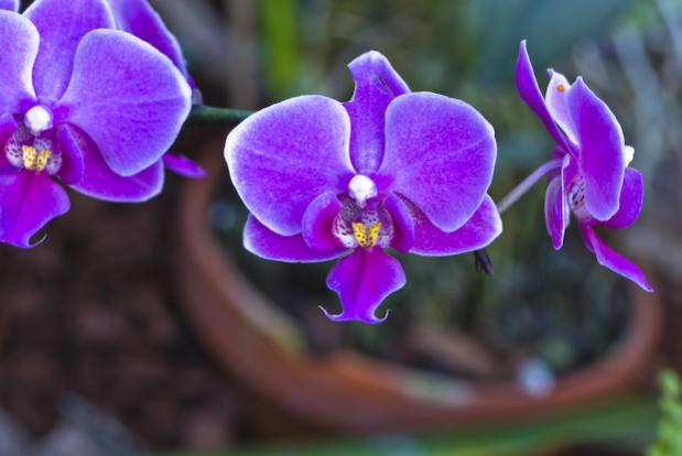 20071215  DSC2953
