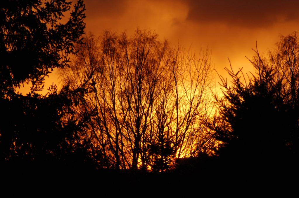 2008 03 Sonnenuntergang 001