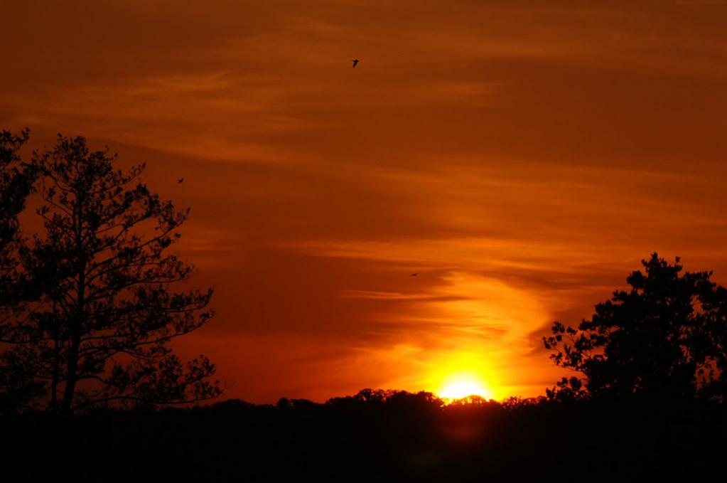 2008 06 Sonnenuntergang 001