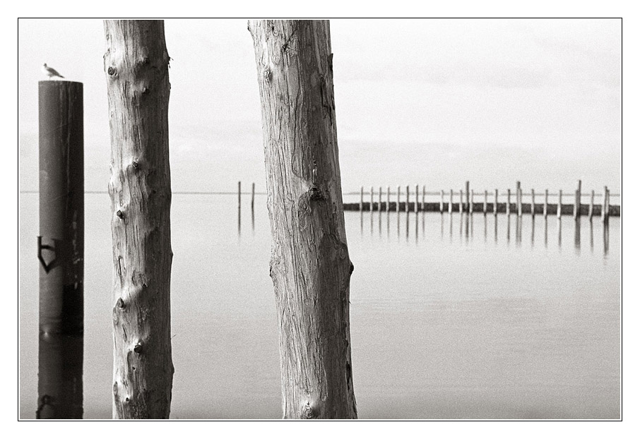 2008-11 EnnEff - scharf unscharf I
F5; Kodak 400TX; Spur HRX-2