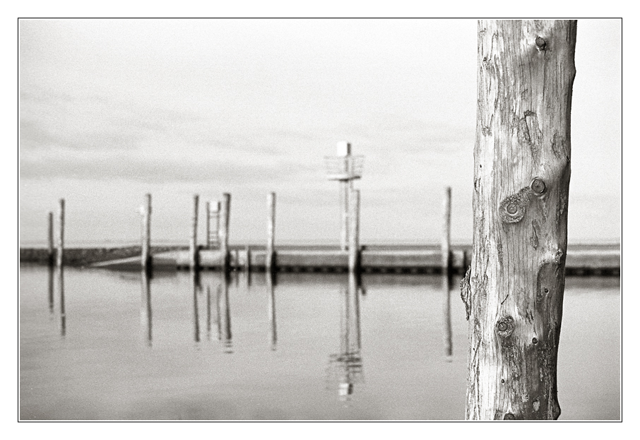 2008-11 EnnEff - scharf unscharf II

F5; Kodak 400TX; Spur HRX-2