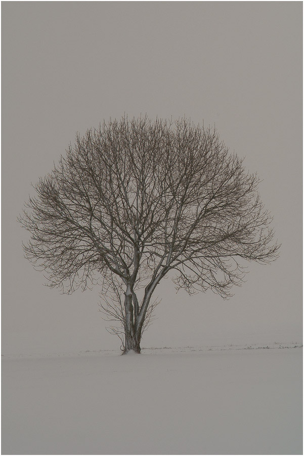 2008 11220025