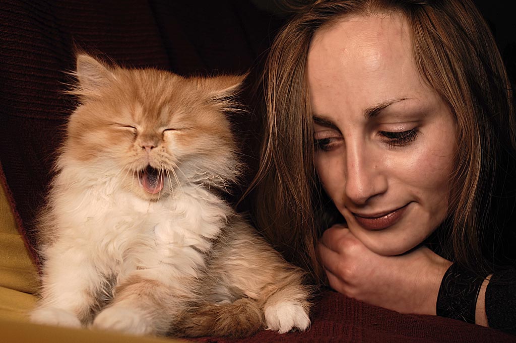 2008 12 22 Sarahs Katze Gremlin D7C 0246 ps