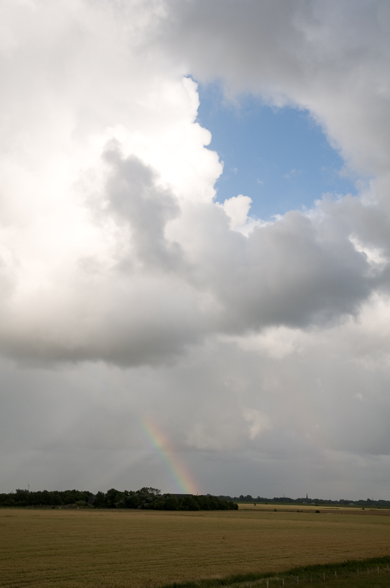 20080716-_DSC0515-2.jpg