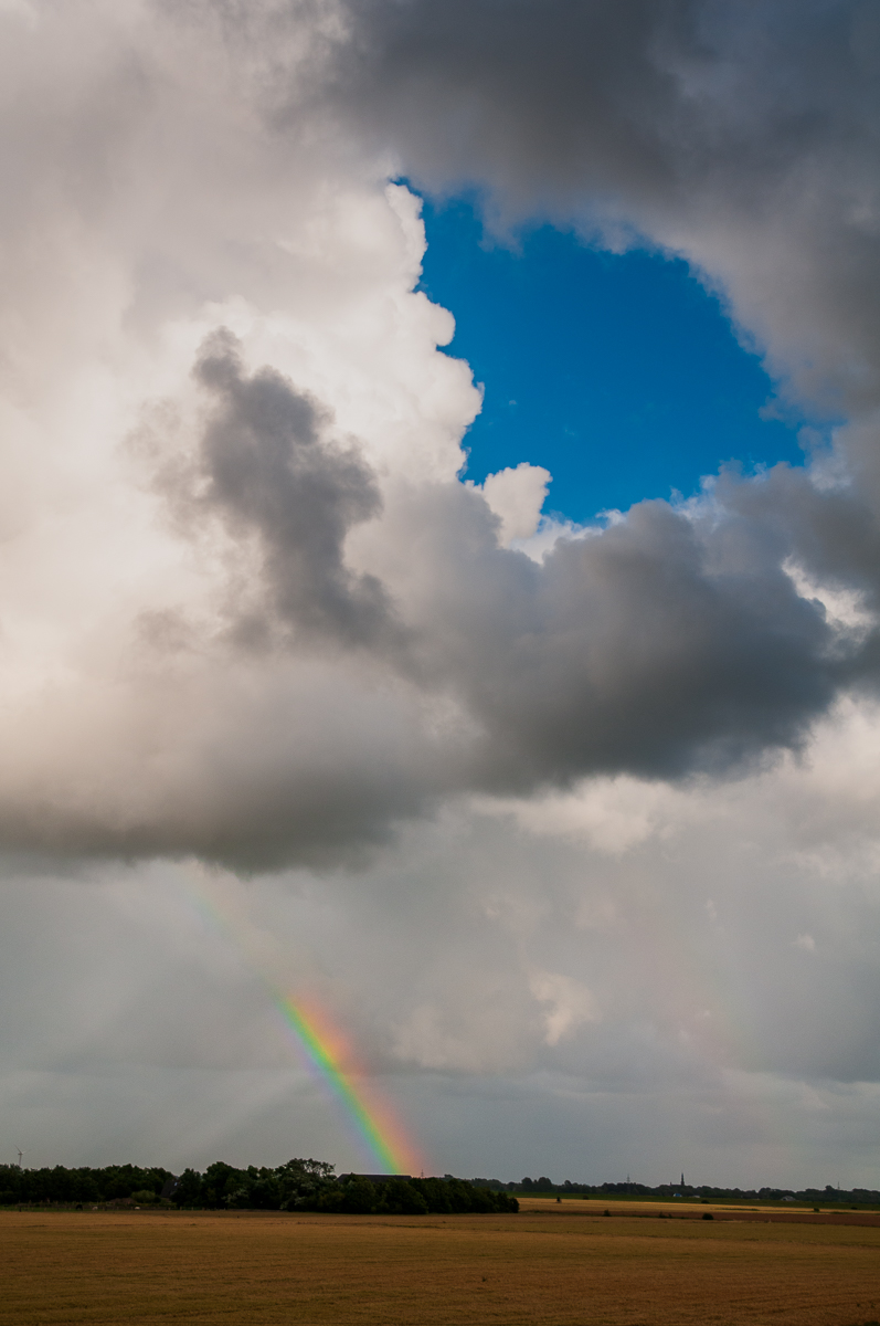 20080716-_DSC0515.jpg