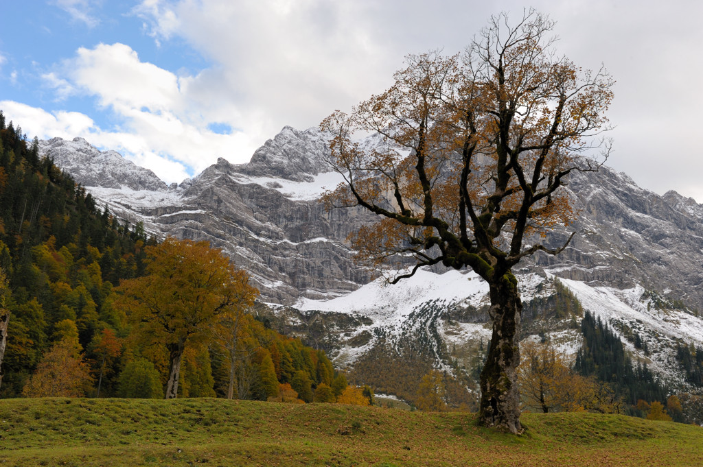 20081006 164930Karwendel