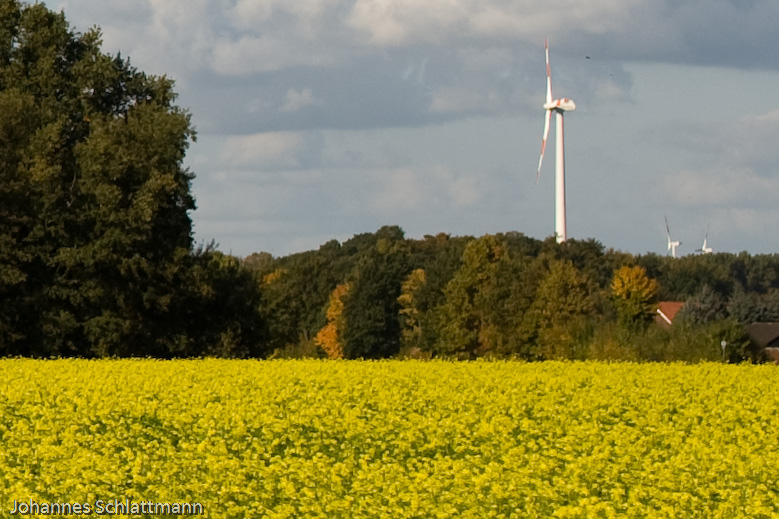 20081009 4257 [D700]   F5,6 50,00mm 2