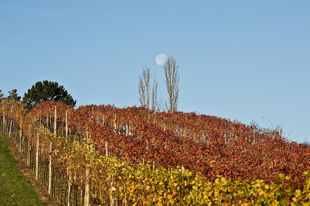 20081115 DSC 0100 bearbeitet 1