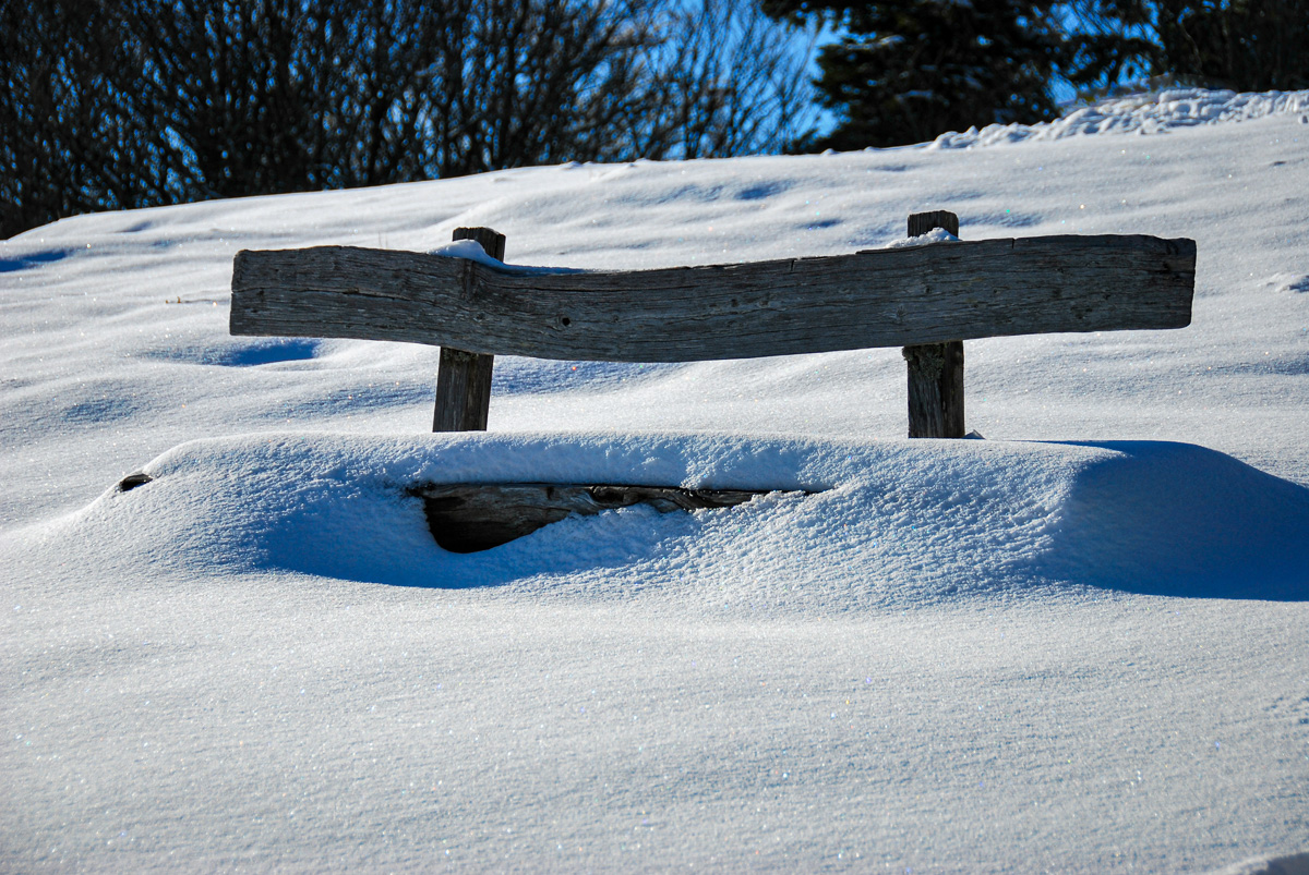 20081127-DSC_1121.jpg