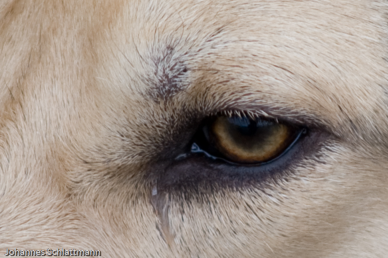 20081130 5336 [D700]   F2,8 180,00mm 2
