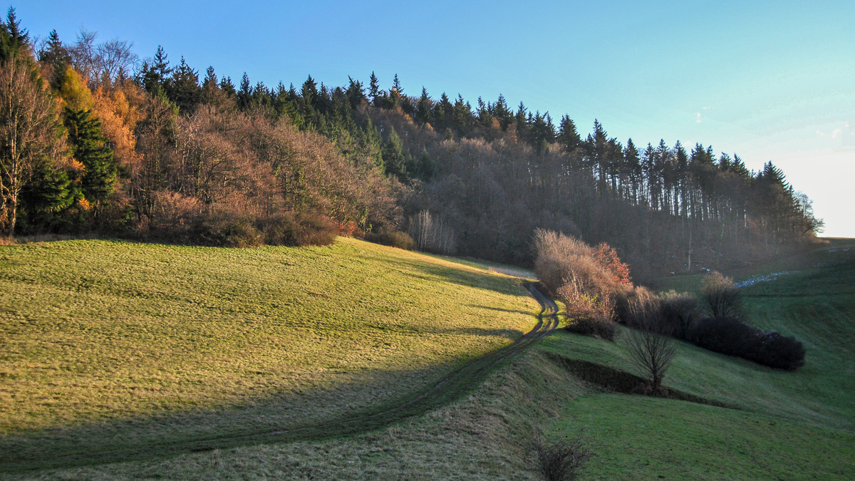 20081130-DSC_1159.jpg