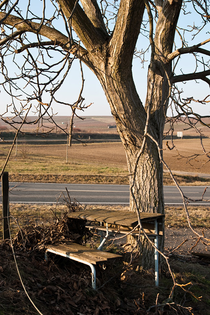200812302200 428x640 - Eine alte Schulbank rostet unter einem Baum vor sich hin...