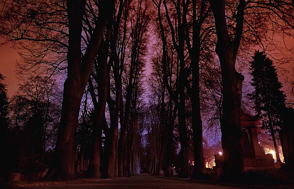 2009 04 01 Friedhof bei Nacht 011 cnx2