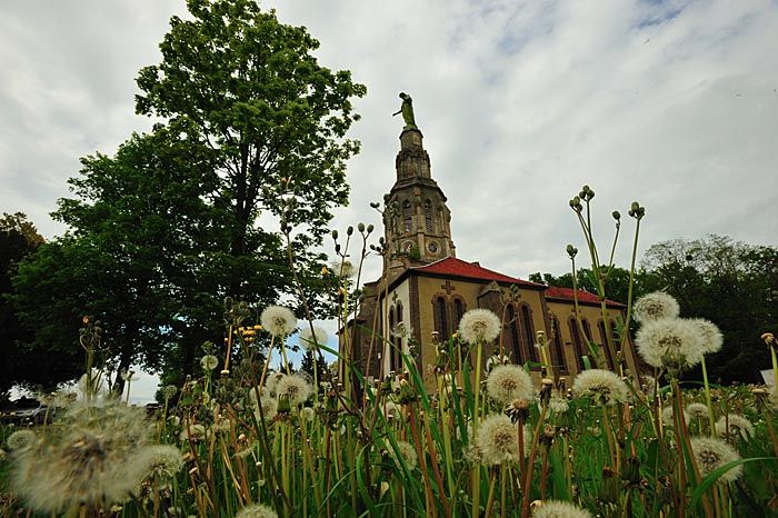 2009 05 01 03 Fronkraisch D7C 8498