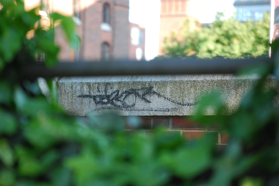 2009.05.12 19.08.44 Hamburg