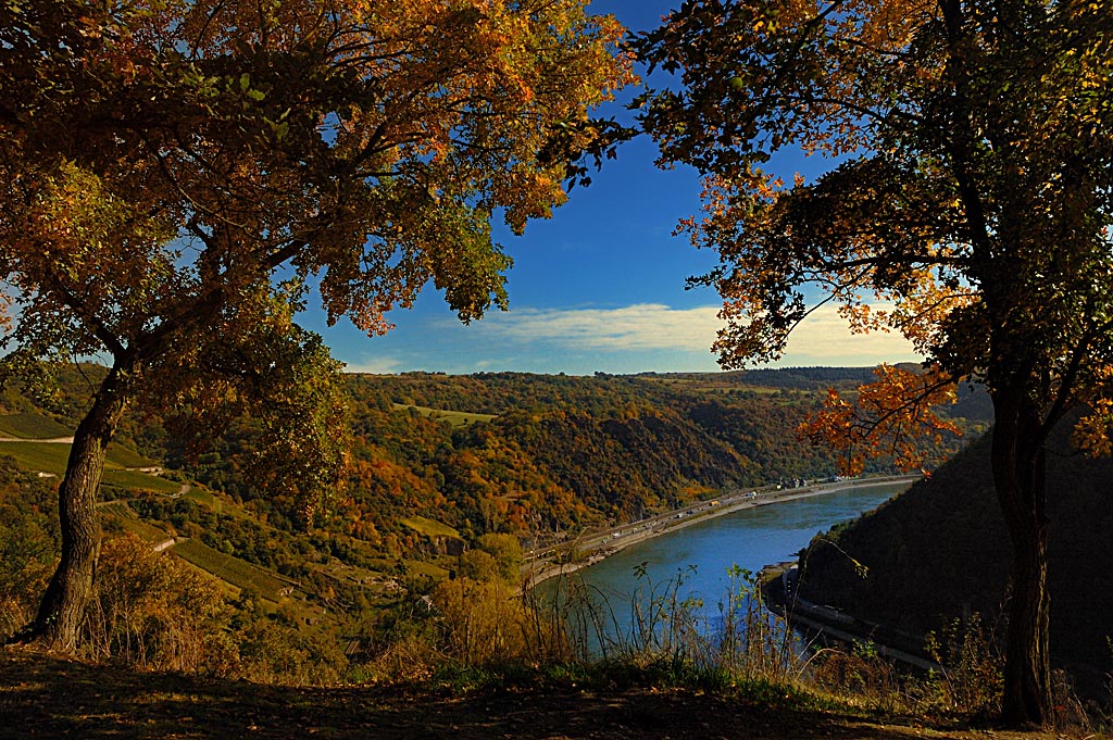 2009 10 09 loreley DSC 1705