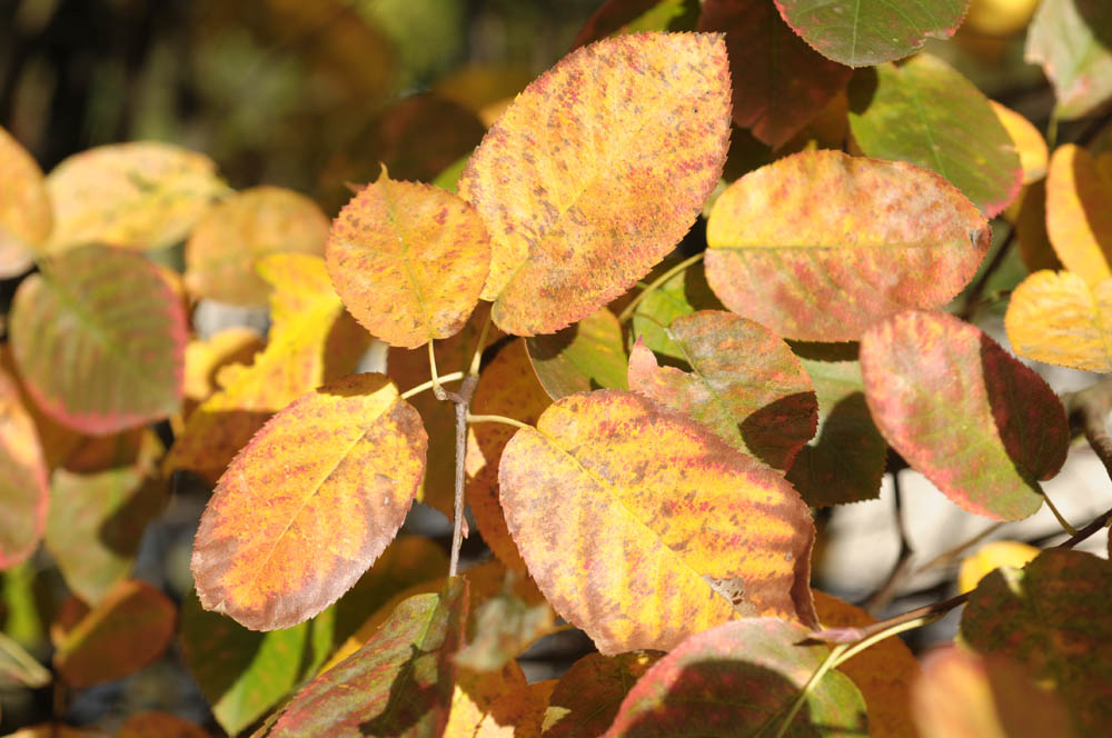 2009 10 18 15 25 55 1
