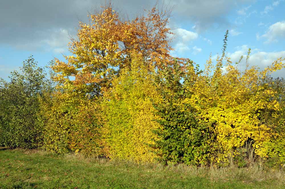 2009 10 25 15 22 28 1