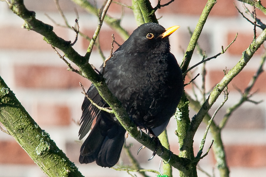 20090110 0472 [D40]   F0,0 0,00mm