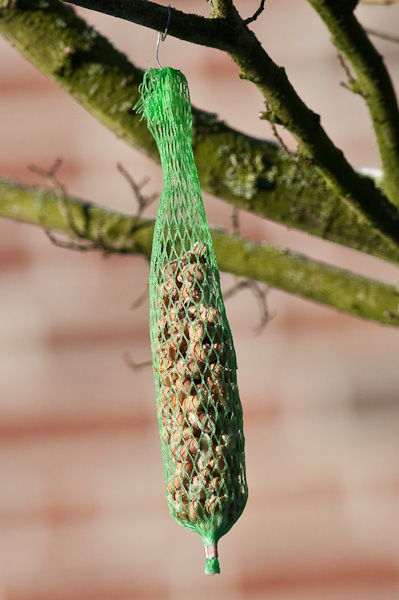 20090110 5398 [D300]   F5,6 300,00mm
