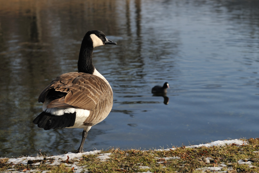 20090116 130832 Nymphenburg