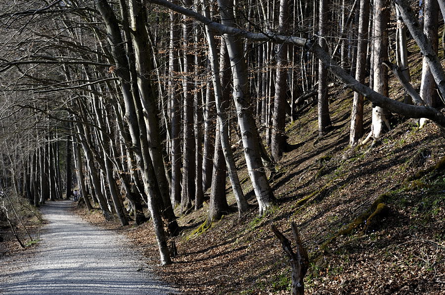 20090410 160842 Muehltal