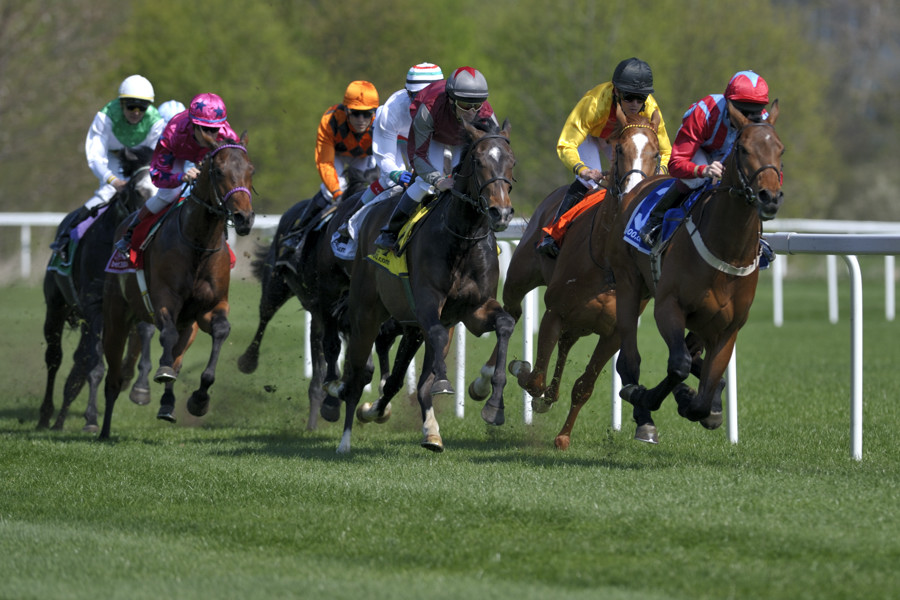 20090413 132608 Galopp Muenchen