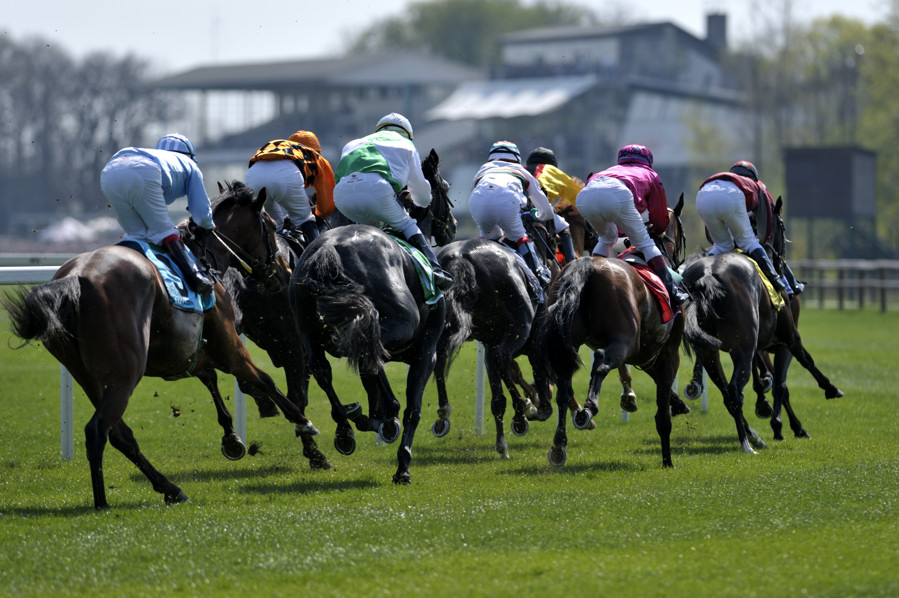 20090413 132613 Galopp Muenchen  01