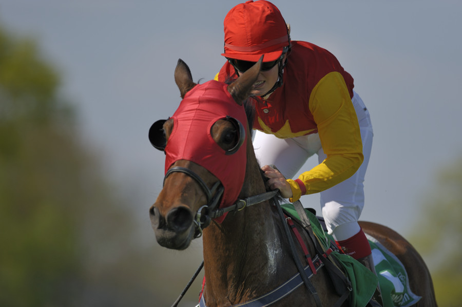 20090413 145038 Galopp Muenchen