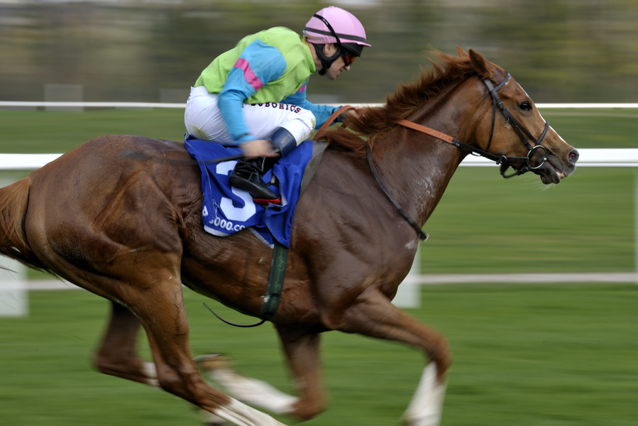 20090413 152435 Galopp Muenchen