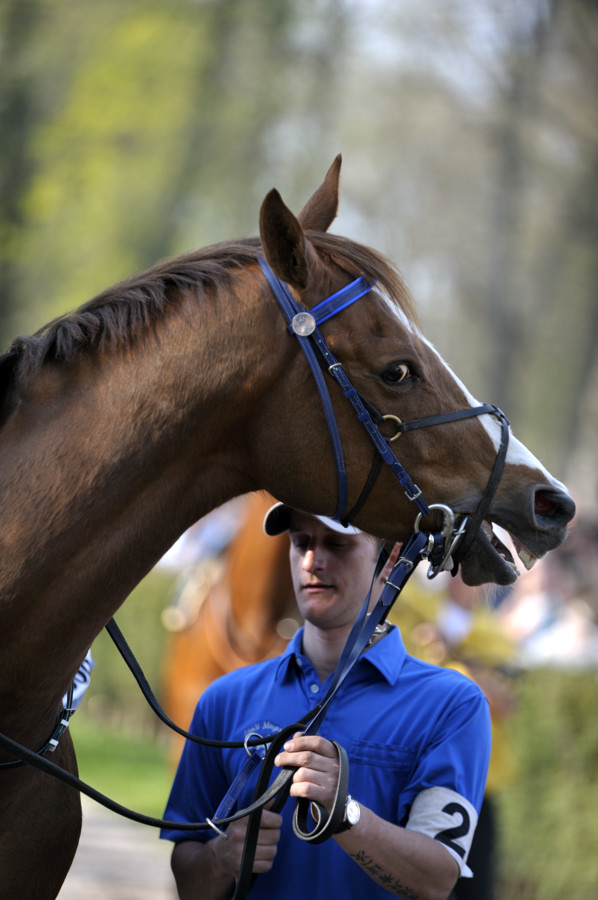 20090413 161843 Galopp Muenchen