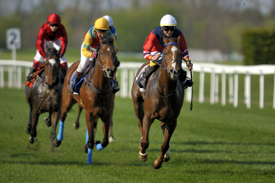 20090413 163157 Galopp Muenchen  05