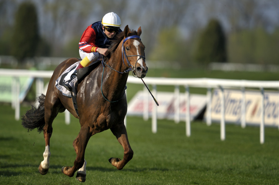 20090413 163159 Galopp Muenchen  01
