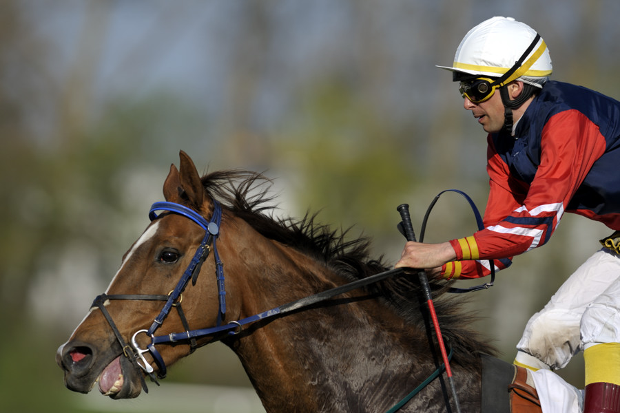 20090413 163311 Galopp Muenchen
