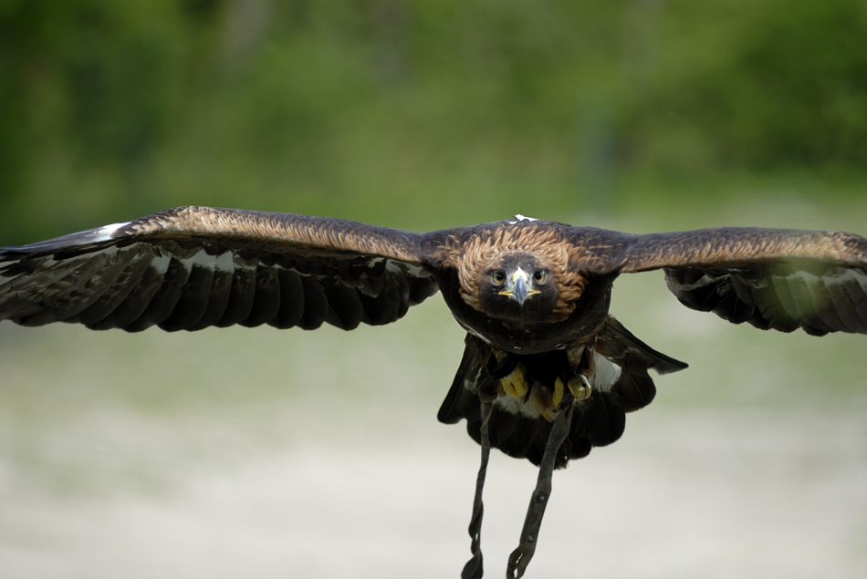 20090424 134752 Hellabrunn 03