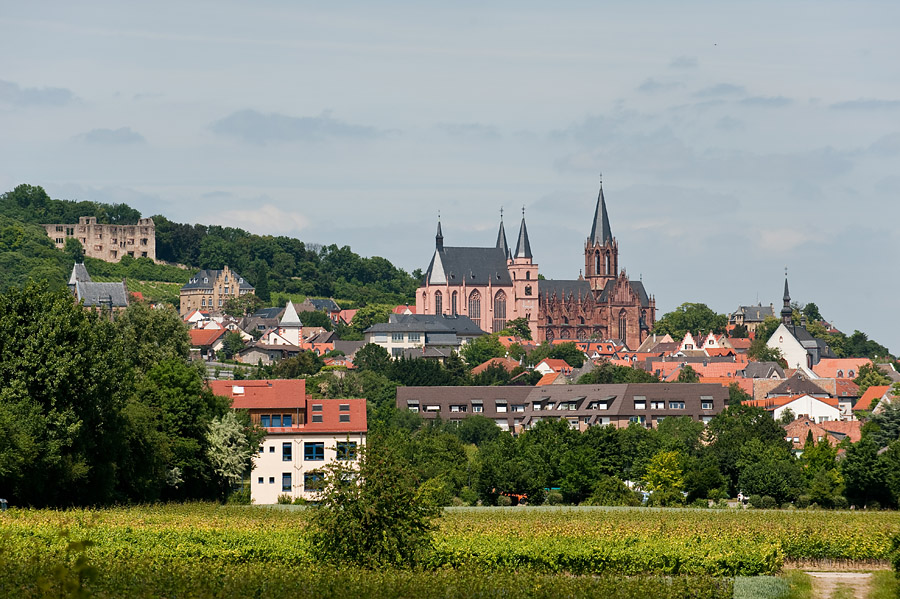 200906032832 - Die Altstadt von Oppenheim am Rhein (Südansicht)