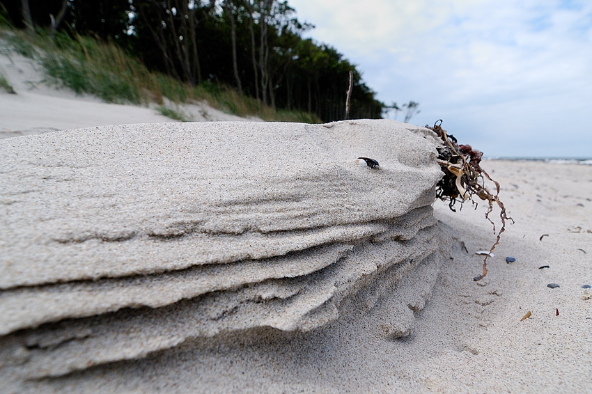 20090614 07 Strand