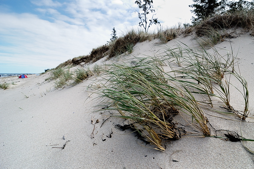 20090614 14 Strand