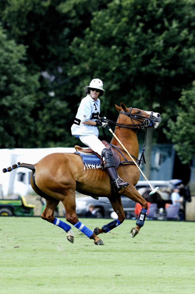 20090725 1894 [D2Xs]   F5,0 300,00mm