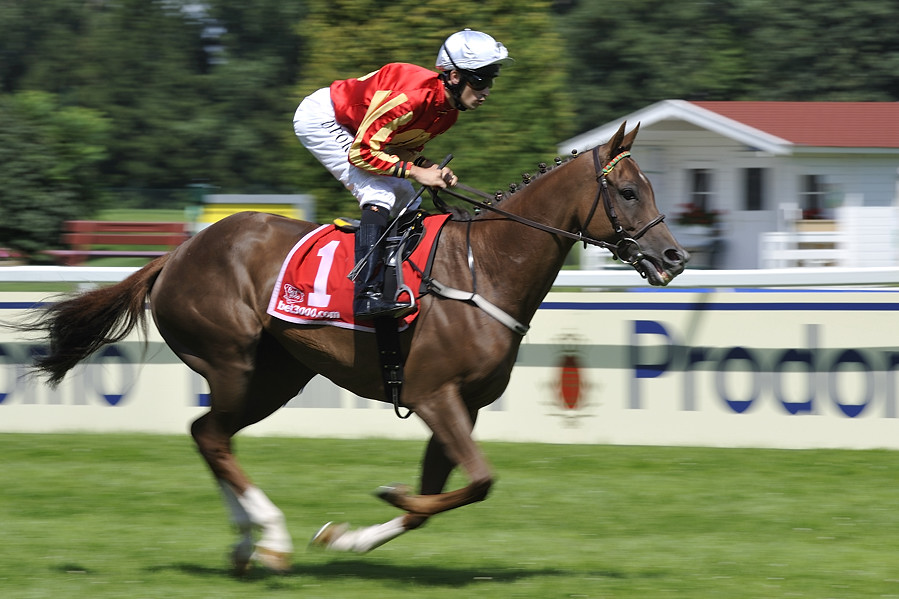 20090726 151052 Galopprennen