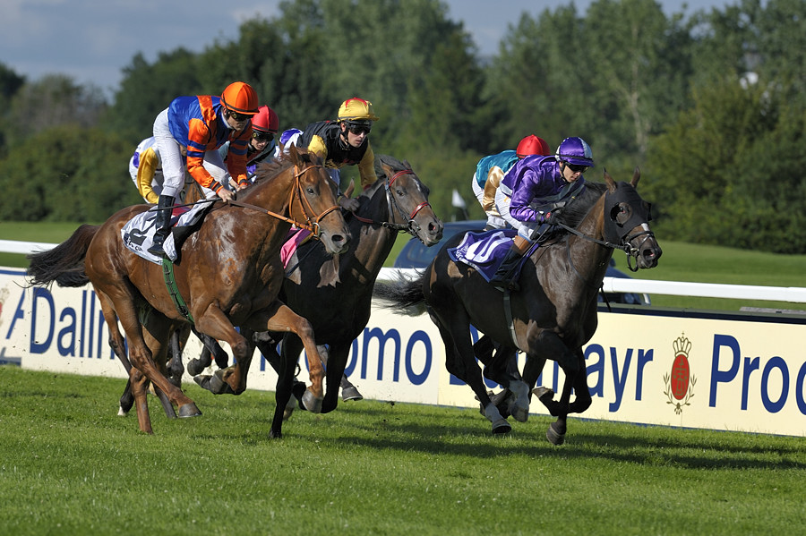 20090726 175317 01 Galopprennen
