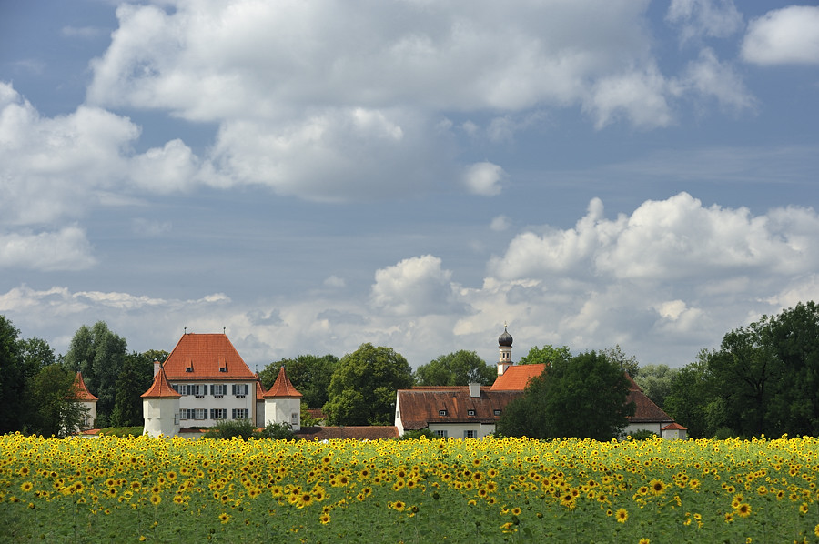 20090728 134426 Blutenburg Sonne