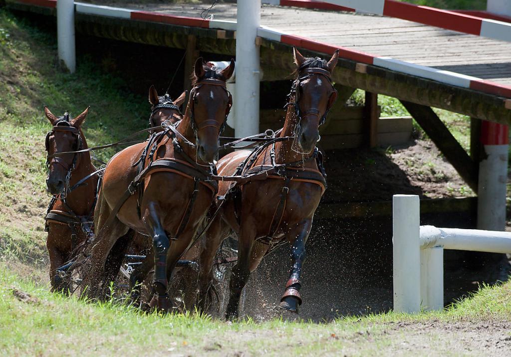 20090801 0817 [D700]   F5,6 200,00mm