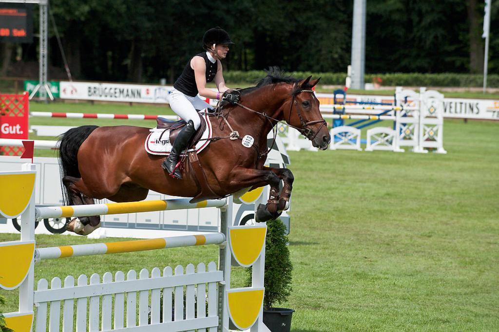 20090801 0896 [D700]   F5,6 200,00mm