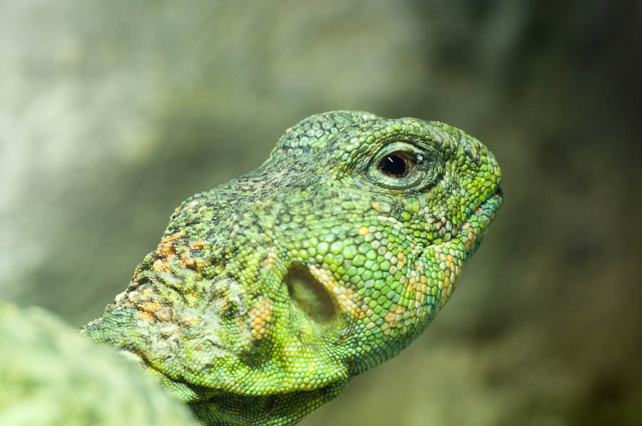 20090809  DSC3578