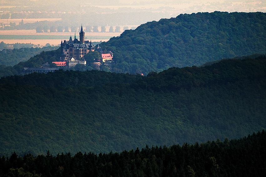 20090810 08 Steinerne Renne