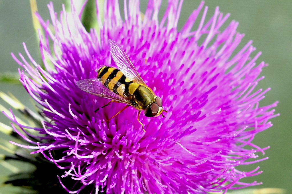 20090901 054