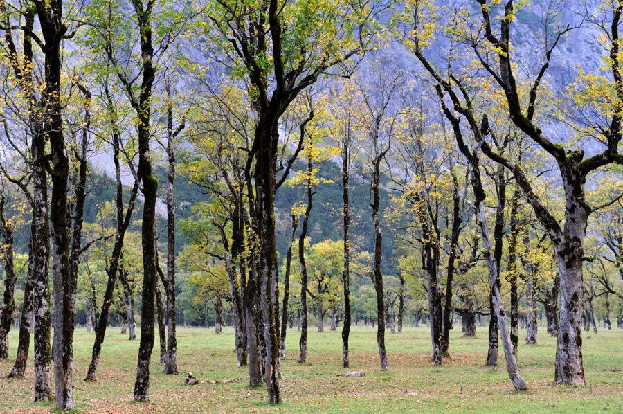 20091002 170658 Karwendel