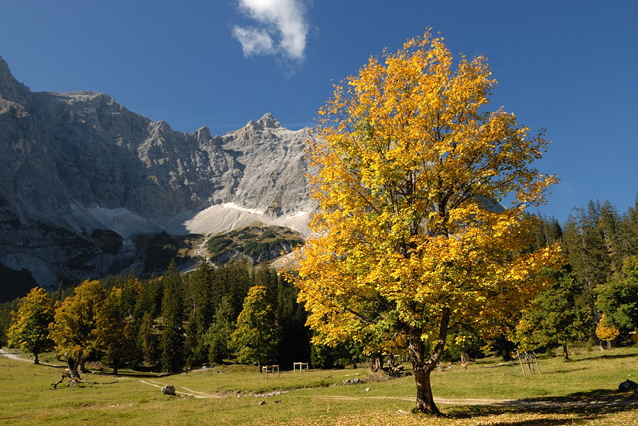 20091007 112943 Karwendel, kleiner Ahornboden