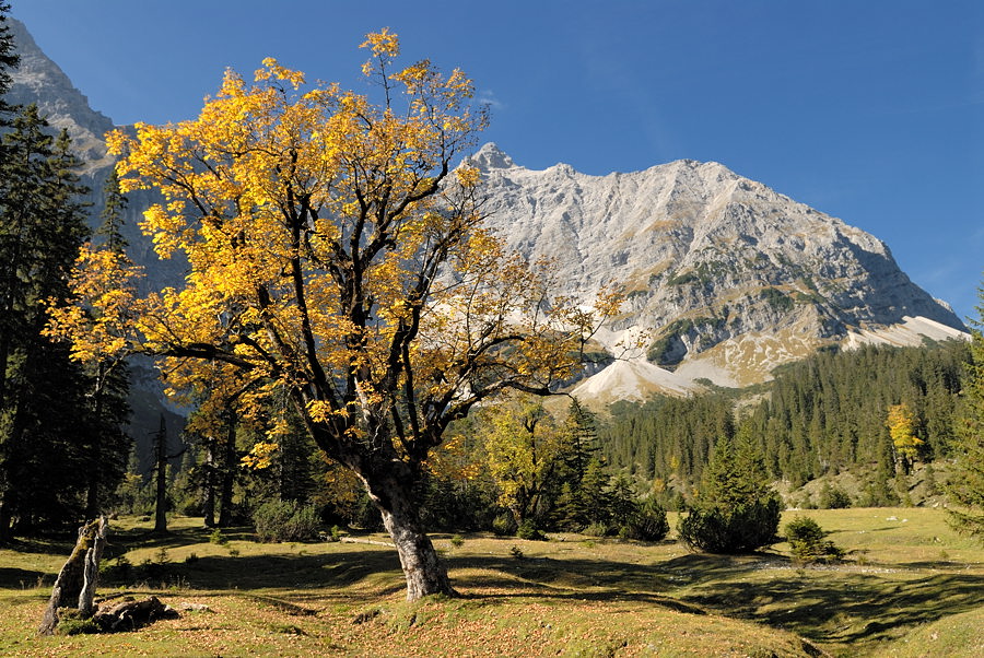 20091007 113910 Karwendel, kleiner Ahornboden